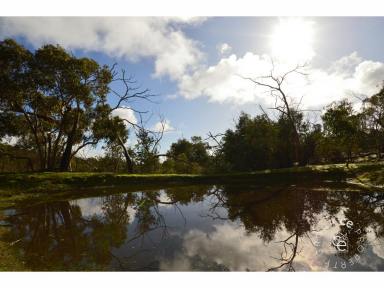 Acreage/Semi-rural For Sale - SA - One Tree Hill - 5114 - Huge, Family Home, Dual Living, Superb Views  (Image 2)