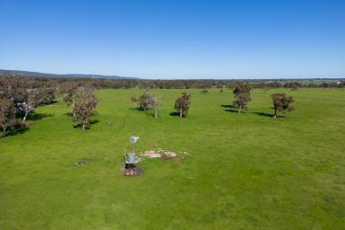 Acreage/Semi-rural For Sale - WA - Keysbrook - 6126 - LARGE LIFESTYLE LOCATION!  (Image 2)