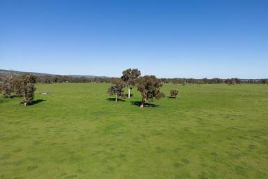 Acreage/Semi-rural Sold - WA - Keysbrook - 6126 - LARGE LIFESTYLE LOCATION!  (Image 2)