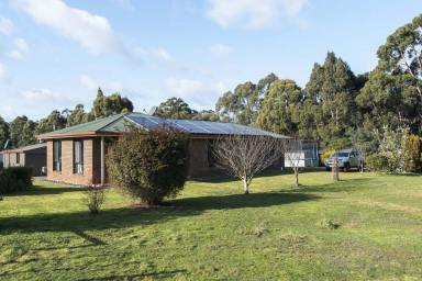 House For Sale - TAS - Somerset - 7322 - Peacefully Located In A Perfect Location  (Image 2)