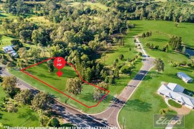 Residential Block For Sale - QLD - Jones Hill - 4570 - TOWN SERVICES ON ACREAGE!  (Image 2)