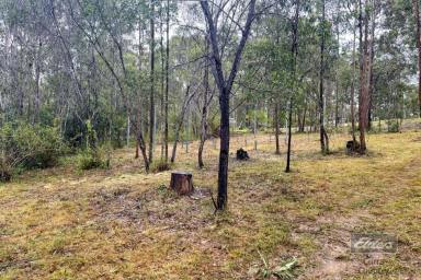 Residential Block For Sale - QLD - Bauple - 4650 - BUY THE LAND AND GET THE HOUSE KIT THROWN IN!  (Image 2)
