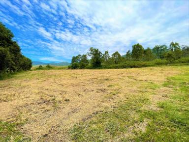 Other (Rural) Sold - NSW - Kyogle - 2474 - LAND WITH VIEWS & WATER  (Image 2)