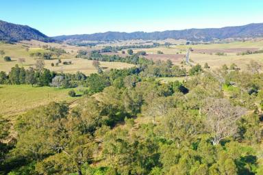 Residential Block For Sale - NSW - Kyogle - 2474 - WHERE EAGLES SOAR!  (Image 2)