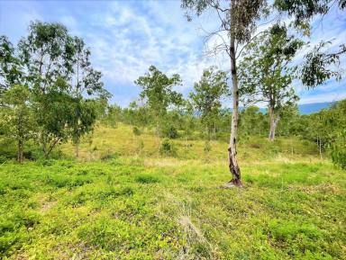 Other (Rural) Sold - NSW - Kyogle - 2474 - LAND WITH VIEWS & WATER  (Image 2)