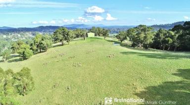 Residential Block For Sale - VIC - Healesville - 3777 - Stunning Views with Complete Privacy  (Image 2)