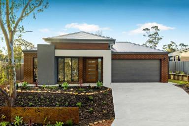 House For Sale - VIC - White Hills - 3550 - ELEVATED & EASY MODERN LIVING  (Image 2)