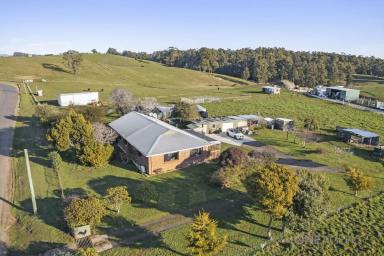 House For Sale - TAS - Stowport - 7321 - Those Fresh Country Feels  (Image 2)