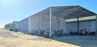 Industrial/Warehouse For Sale - NSW - Finley - 2713 - EXCELLENT OPPORTUNITY TO PURCHASE LUCRATIVE COMMERCIAL PROPERTY - FINLEY  (Image 2)