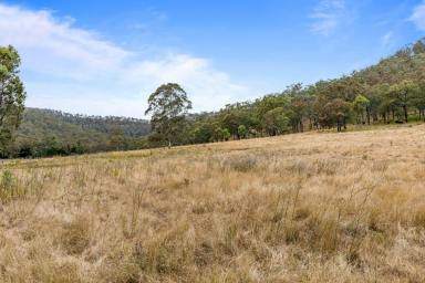 Livestock For Sale - QLD - Upper Pilton - 4361 - Income, Lifestyle or Both!  (Image 2)