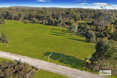 Residential Block For Sale - VIC - Axe Creek - 3551 - AFFORDABLE LIFESTYLE ALLOTMENT – 5 ACRES  (Image 2)
