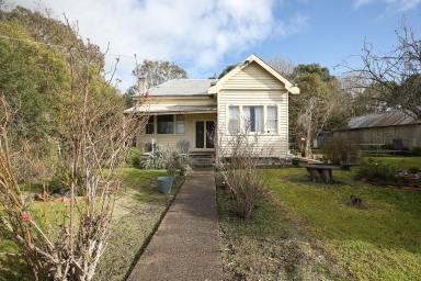 Lifestyle Auction - VIC - Cobden - 3266 - Best of both Worlds!  (Image 2)