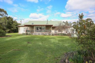 Lifestyle For Sale - VIC - Gnotuk - 3260 - The Complete Lifestyle Property  (Image 2)