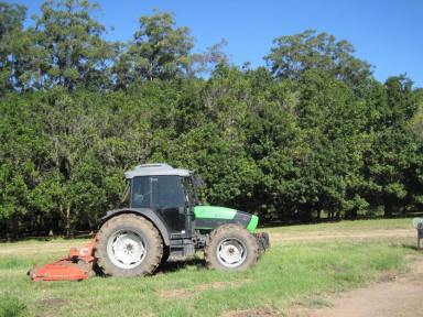 Horticulture Sold - QLD - Ringtail Creek - 4565 - Commercial Macadamia Farm  (Image 2)