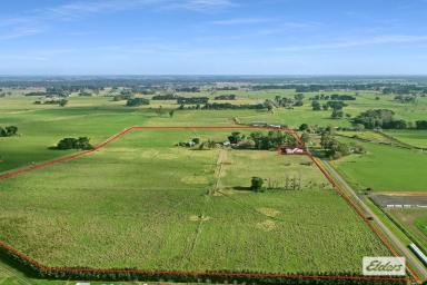 Lifestyle For Sale - VIC - Bundalaguah - 3851 - IRRIGATION PROPERTY CLOSE TO TOWN 
Amber-Lea  (Image 2)