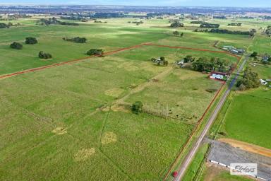 Lifestyle For Sale - VIC - Bundalaguah - 3851 - IRRIGATION PROPERTY CLOSE TO TOWN 
Amber-Lea  (Image 2)