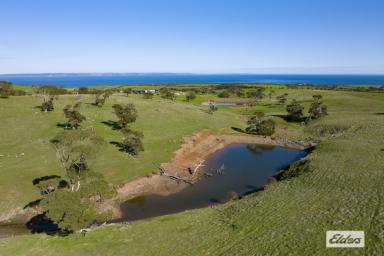 Other (Rural) For Sale - SA - Cape Jervis - 5204 - ROLLING HILLS & SPECTACULAR VIEWS  (Image 2)