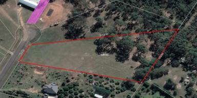 Residential Block For Sale - QLD - Tinana - 4650 - LOOK NO FURTHER!  (Image 2)