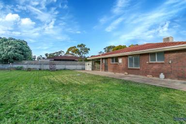 House Auction - SA - Willaston - 5118 - AUCTION; Affordable family home or rental property. 850 m2 block. Excellent position. Sheriff's Sale.  (Image 2)
