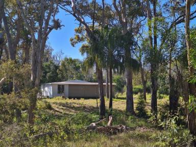 Lifestyle For Sale - QLD - Deepwater - 4674 - 109 ACRES ON BLACKWATER CREEK WITH OWN BOAT RAMP  (Image 2)