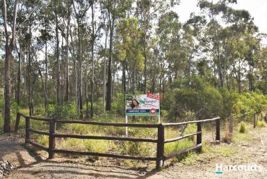 Residential Block For Sale - QLD - North Isis - 4660 - Lot 63 Back on the Market!  (Image 2)
