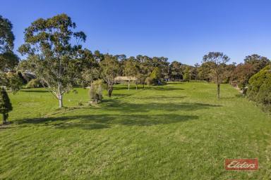 Acreage/Semi-rural For Sale - NSW - Thirlmere - 2572 - When location and opportunity matter! 4.94 acres R5 zoned property  (Image 2)