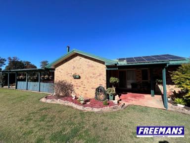 House For Sale - QLD - Kingaroy - 4610 - One fenced acre, high on the hill  (Image 2)