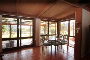 Livestock For Sale - NSW - Quipolly - 2343 - 384 Kingsmill Rd QUIPOLLY  (Image 2)