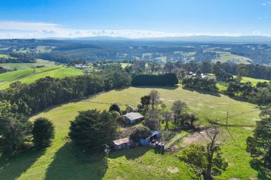 Other (Rural) For Sale - VIC - Shady Creek - 3821 - 60 acres of Stunning Red Soil with Farmhouse  (Image 2)