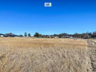 Residential Block For Sale - NSW - Inverell - 2360 - RARE AS HENS TEETH  (Image 2)
