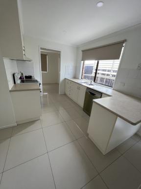 House Leased - QLD - Glenella - 4740 - FULLY RENOVATED LOWEST BRICK HOME IN GLENELLA CLOSE TO EVERYTHING  (Image 2)