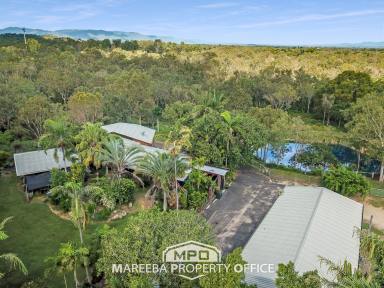 House Sold - QLD - Mareeba - 4880 - HOME IN PRIVATE BUSHLAND SETTING  (Image 2)