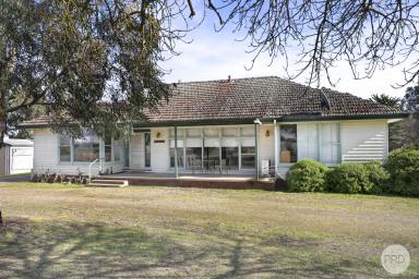 Cropping For Sale - VIC - Mena Park - 3373 - Large Country Homestead With A Roomy 1 Acre Block  (Image 2)