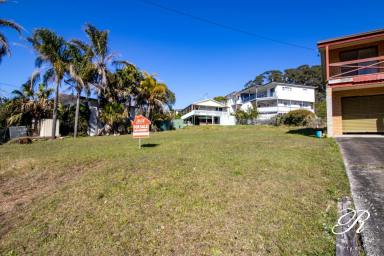 Residential Block For Sale - NSW - Coomba Park - 2428 - Filtered Lake Views, Prime Position, Gently Sloped Block  (Image 2)
