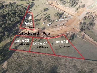 Residential Block Auction - NSW - Muswellbrook - 2333 - ONE OF THE LAST PREMIER RURAL RESIDENTIAL LOT LEFT FOR SALE IN THE IRONBARK RIDGE ESTATE MUSWELLBROOK  (Image 2)