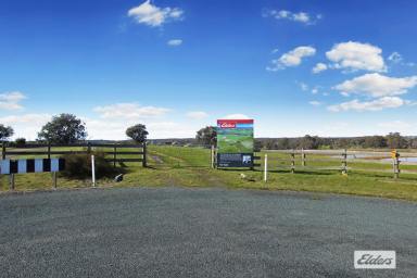 Residential Block Sold - VIC - Axe Creek - 3551 - PRIME LIFESTYLE LAND WITH AXE CREEK FRONTAGE AND A MONSTER SHED - 30 ACRES  (Image 2)