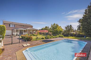 House For Sale - NSW - Thirlmere - 2572 - Spacious family entertainer near the heart of town!  On 1278m2  (Image 2)