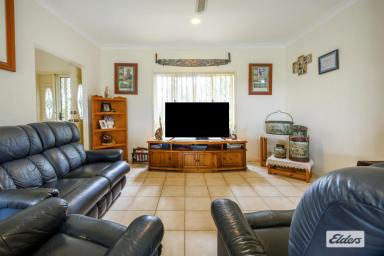 Mixed Farming For Sale - NSW - South Arm - 2460 - Macadamia Dreaming  (Image 2)