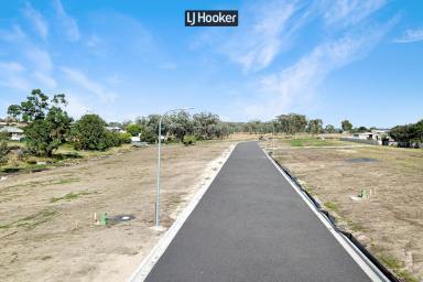Residential Block For Sale - NSW - Inverell - 2360 - Ryan Mount Estate  (Image 2)