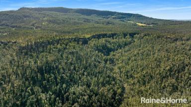 Other (Rural) For Sale - NSW - Illaroo - 2540 - It's An Adventure - LOT 21  (Image 2)