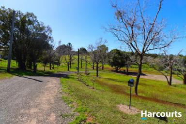 Residential Block For Sale - QLD - Childers - 4660 - FANCY SOME ACREAGE RIGHT IN THE HEART OF CHILDERS  (Image 2)