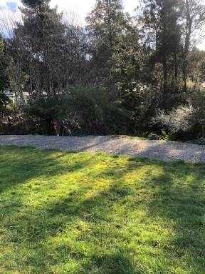 Residential Block For Sale - TAS - Queenstown - 7467 - Vacant Residential Land  (Image 2)