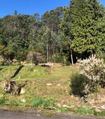 Residential Block For Sale - TAS - Queenstown - 7467 - Vacant Residential Land  (Image 2)