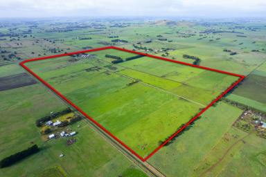 Dairy For Sale - VIC - Kolora - 3265 - HIGH PRODUCTION DAIRY FARM WITH RICH VOLCANIC SOIL TYPES - 422 ACRES / 170.7 HA  (Image 2)