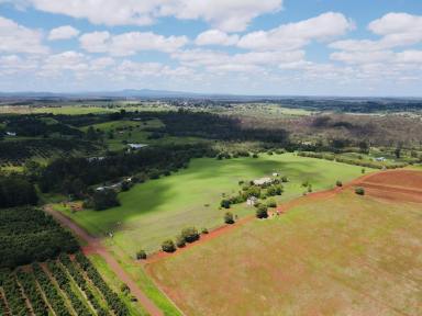 Acreage/Semi-rural For Sale - QLD - Childers - 4660 - AIR BNB POTENTIAL / LARGE BEAUTIFUL FAMILY HOME WITH A HANGER  (Image 2)