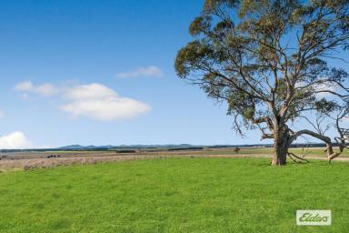 Other (Rural) For Sale - VIC - Carngham - 3351 - A versatile cropping and grazing opportunity in the tightly held Ballarat region  (Image 2)