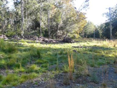 Residential Block For Sale - NSW - Minimbah - 2312 - Look Out, Look About  (Image 2)