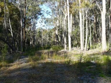 Residential Block For Sale - NSW - Minimbah - 2312 - Look Out, Look About  (Image 2)