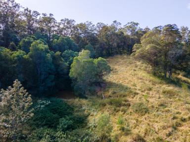 Residential Block For Sale - QLD - Dayboro - 4521 - Hidden Lifestyle Block with Stunning Views  (Image 2)