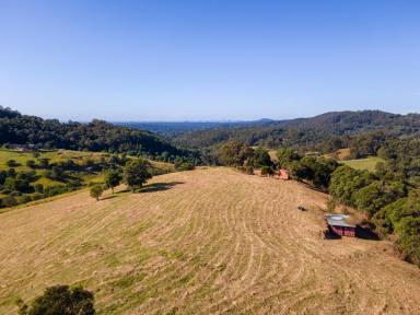 Residential Block For Sale - QLD - Clear Mountain - 4500 - Brisbane's Best Block of Land  (Image 2)